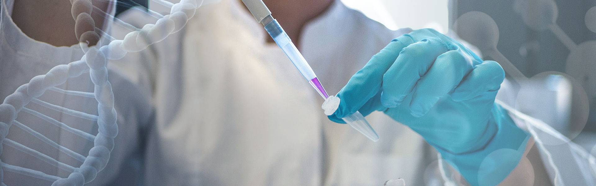 研發(fā)服務(wù)