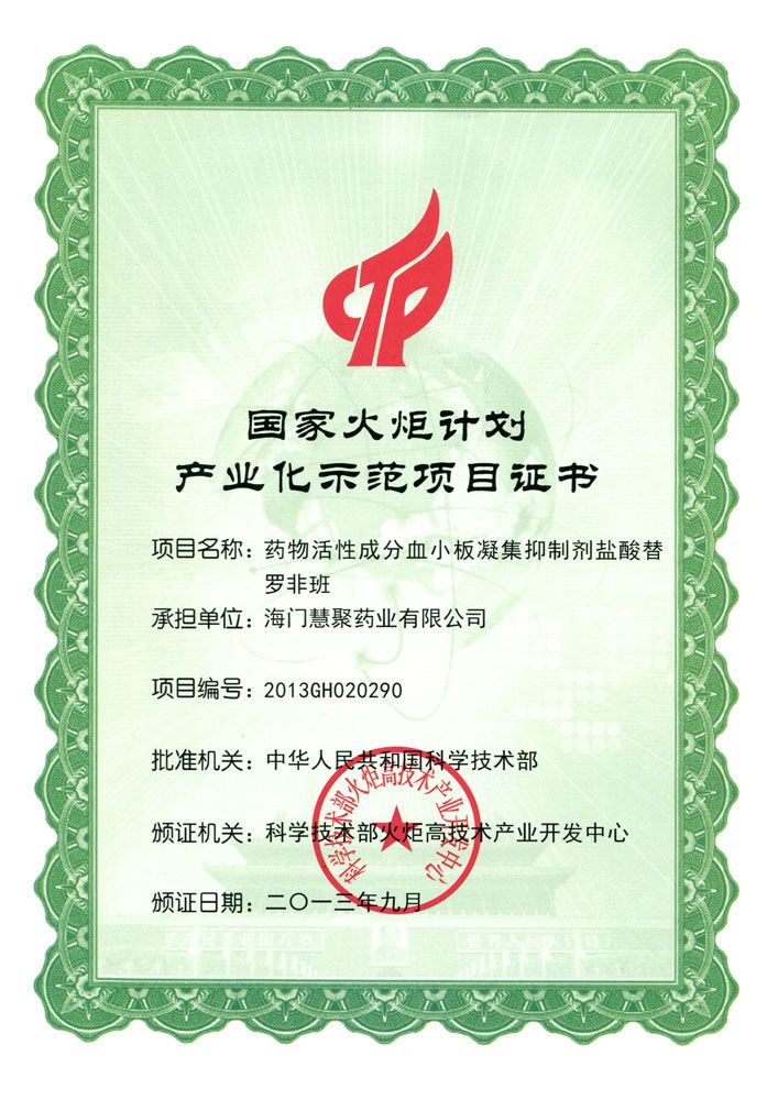 2013年鹽酸替羅非班火炬計(jì)劃項(xiàng)目